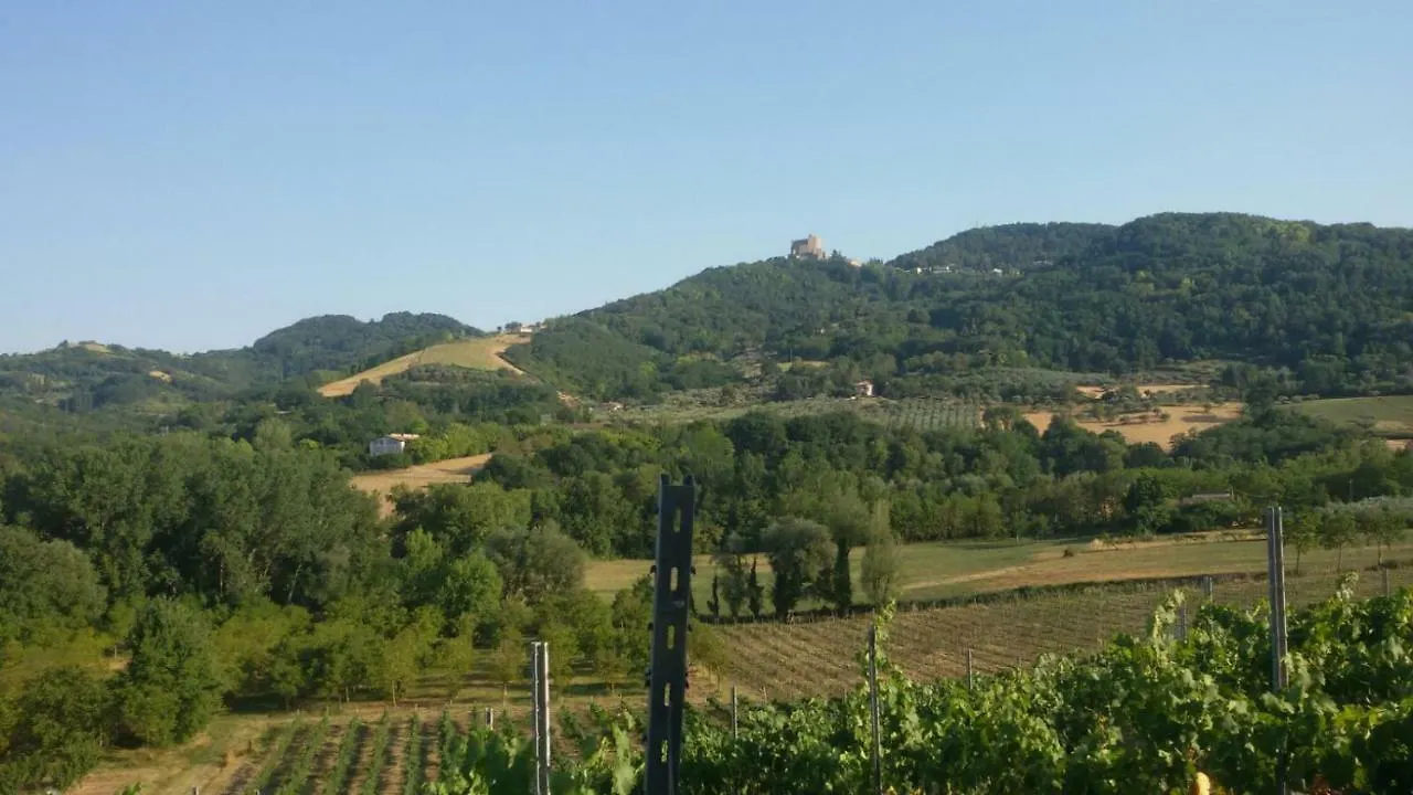 Il Vecchio Gelso - Agriturismo Rimini Montefiore Conca Villa