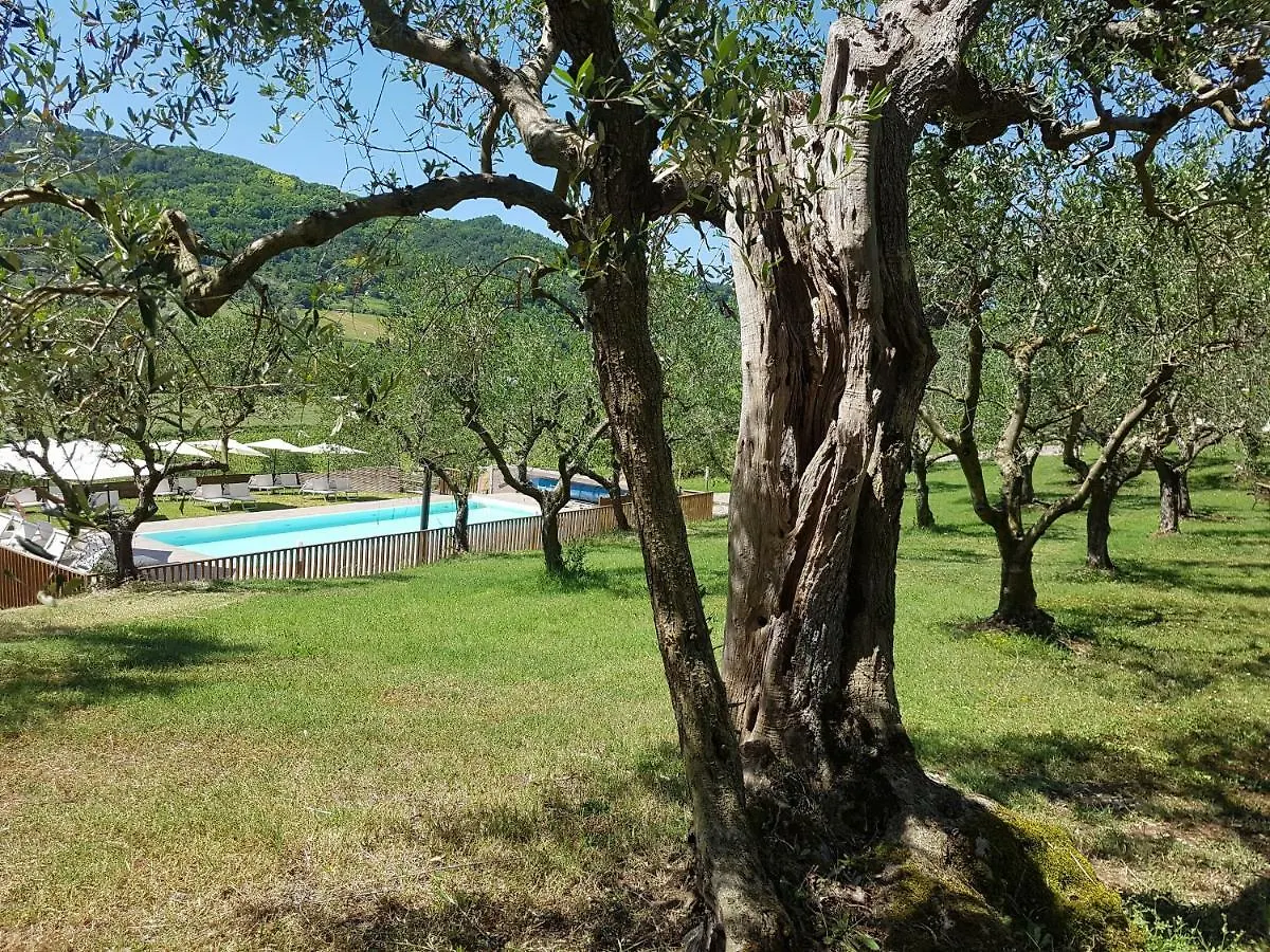 Farm stay Il Vecchio Gelso - Agriturismo Rimini Montefiore Conca Villa Italy