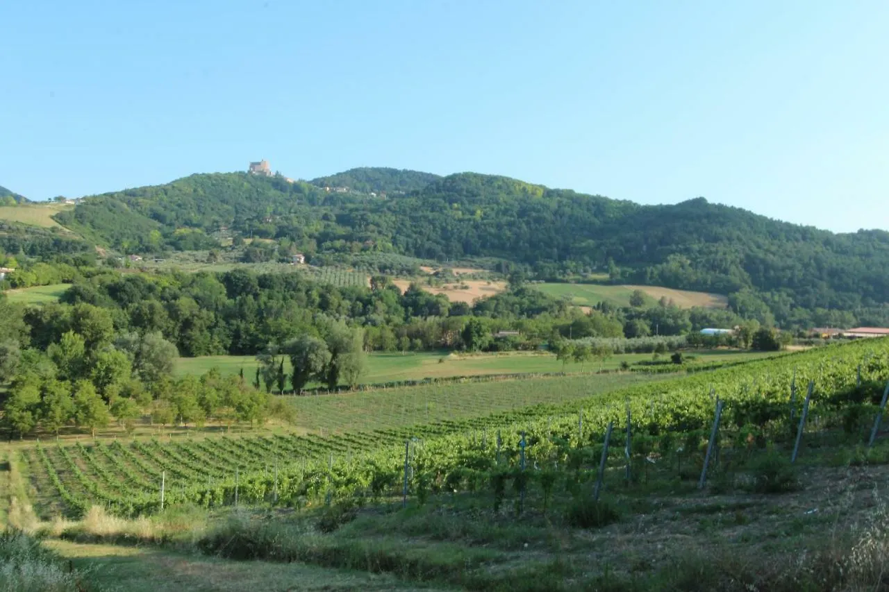 Il Vecchio Gelso - Agriturismo Rimini Montefiore Conca Villa Farm stay
