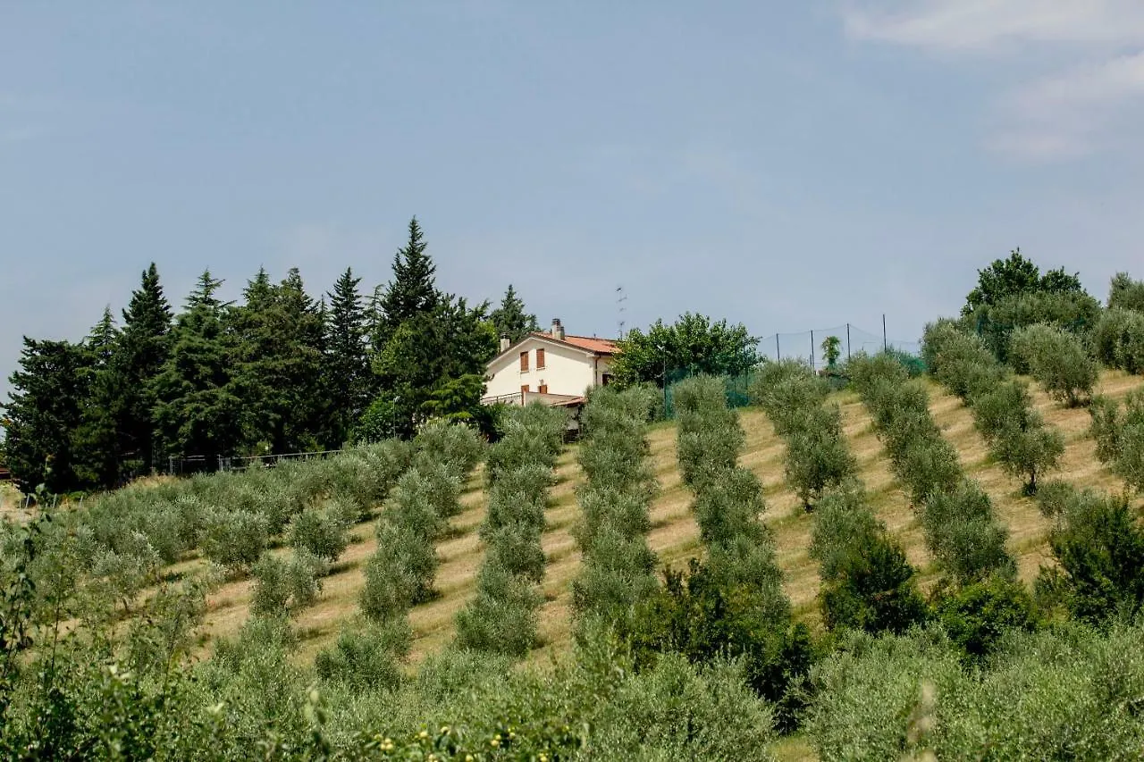 Il Vecchio Gelso - Agriturismo Rimini Montefiore Conca Villa Italy