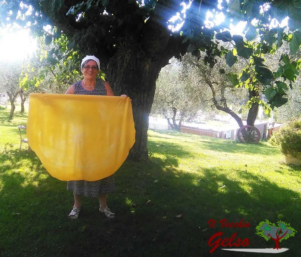 Il Vecchio Gelso - Agriturismo Rimini Montefiore Conca Villa 0*,