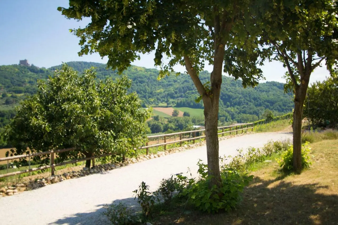 Il Vecchio Gelso - Agriturismo Rimini Montefiore Conca Villa