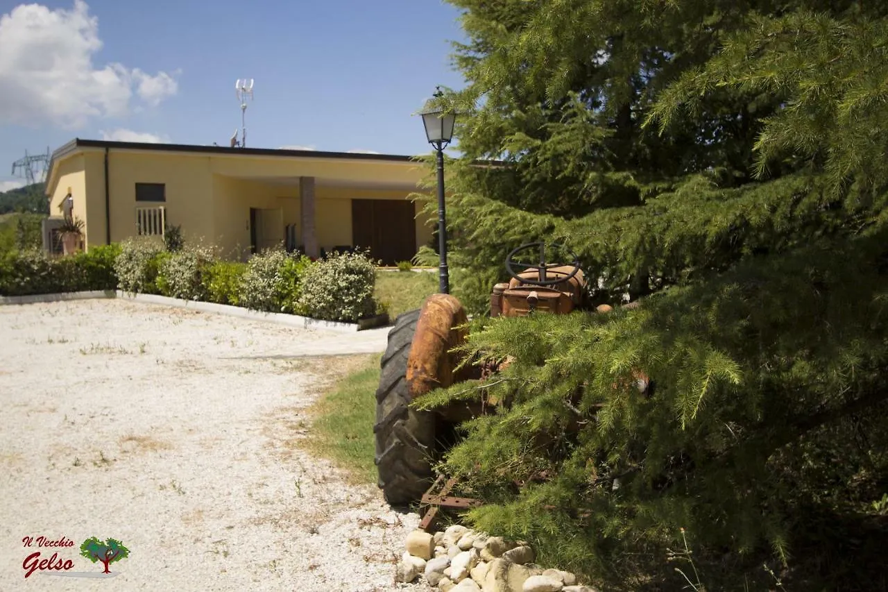 Farm stay Il Vecchio Gelso - Agriturismo Rimini Montefiore Conca Villa Italy