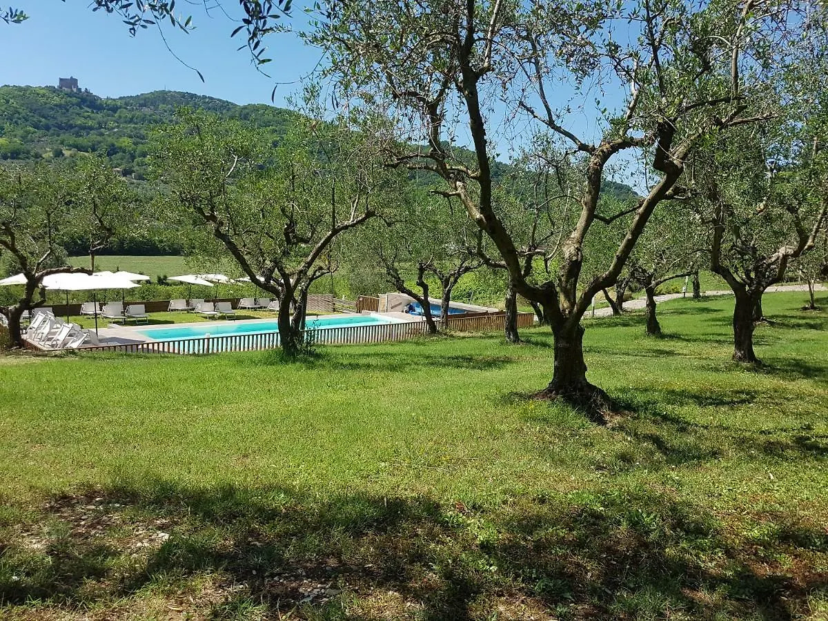 Il Vecchio Gelso - Agriturismo Rimini Montefiore Conca Villa