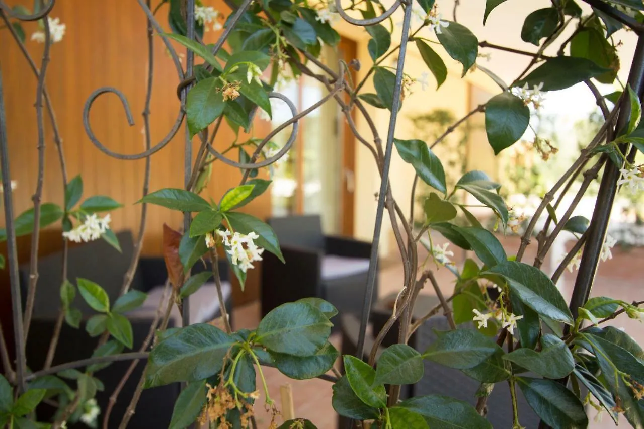 Il Vecchio Gelso - Agriturismo Rimini Montefiore Conca Villa 0*,