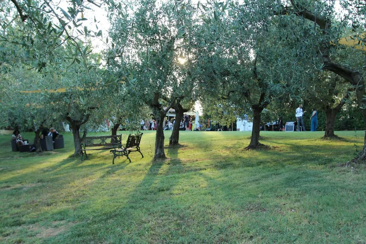 Il Vecchio Gelso - Agriturismo Rimini Montefiore Conca Villa Italy