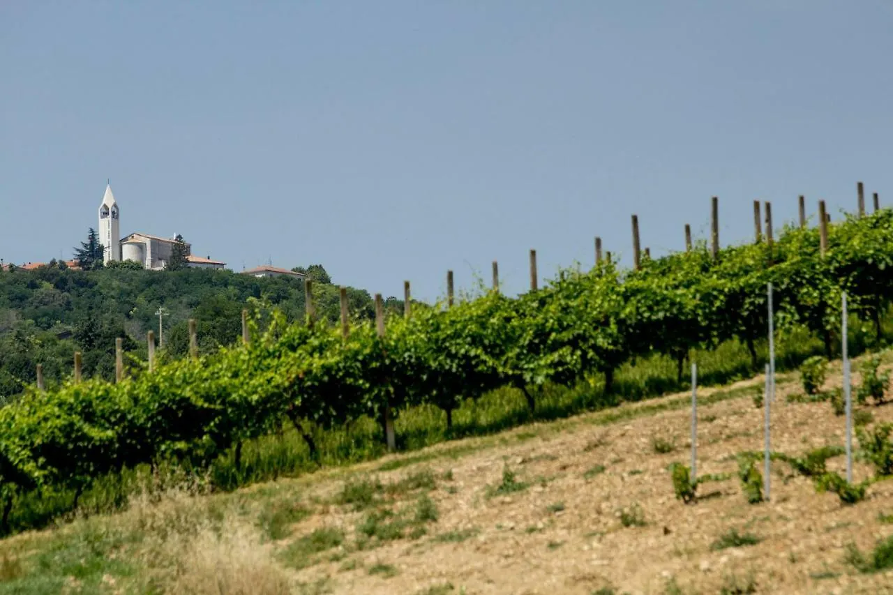 Il Vecchio Gelso - Agriturismo Rimini Montefiore Conca Villa